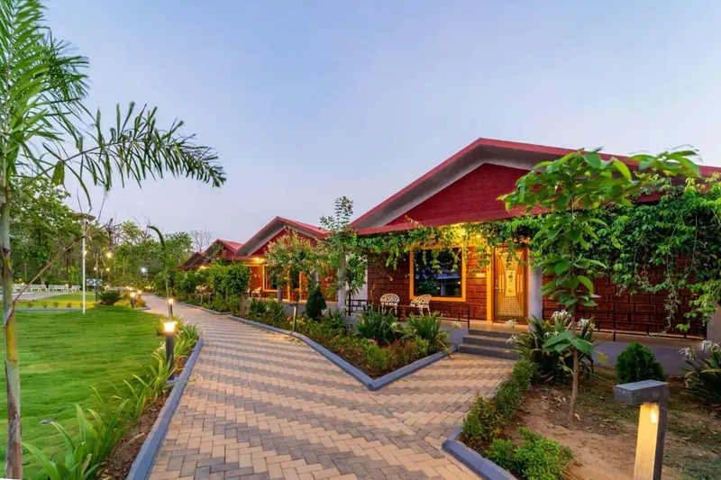 Jungle Resort photo 4