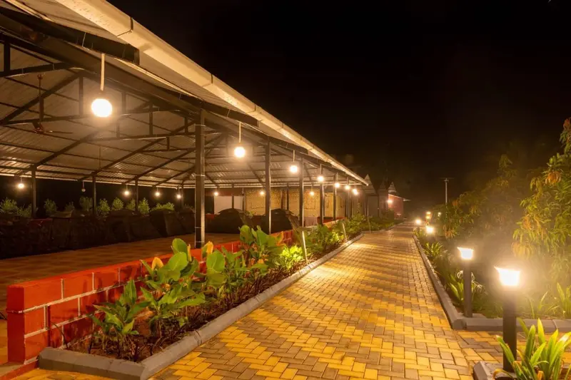 Jungle Resort photo 5