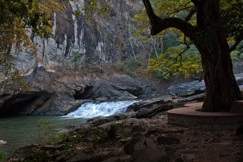 Syntheri Rock, Dandeli