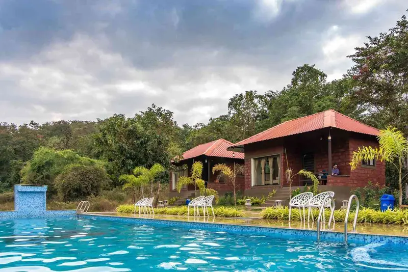 Jungle Cottages photo 18