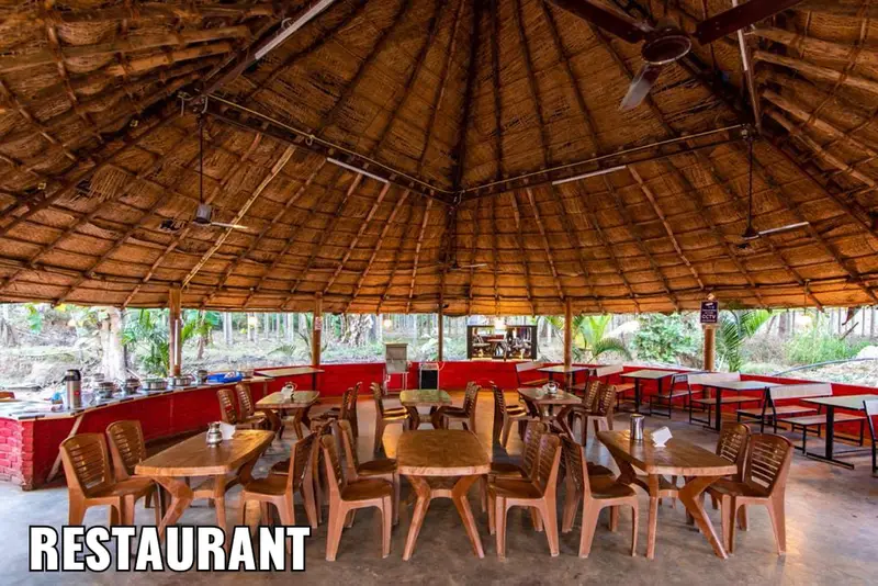 Jungle Beat Resort photo 8
