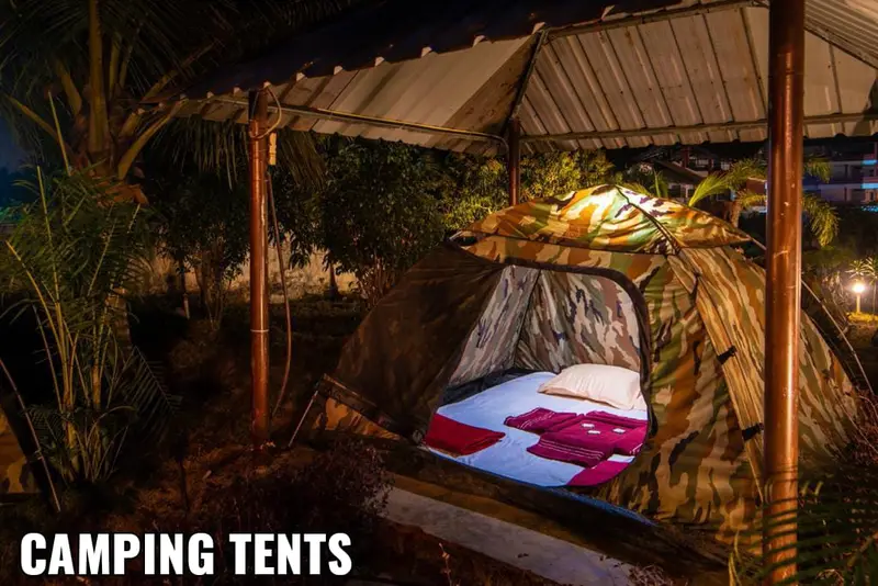 Jungle Beat Resort photo 7