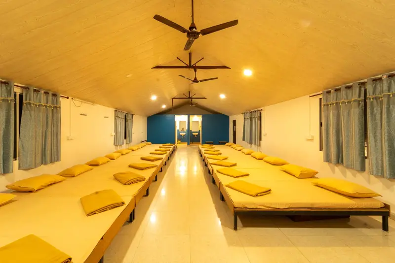 Jungle Beat Resort photo 6