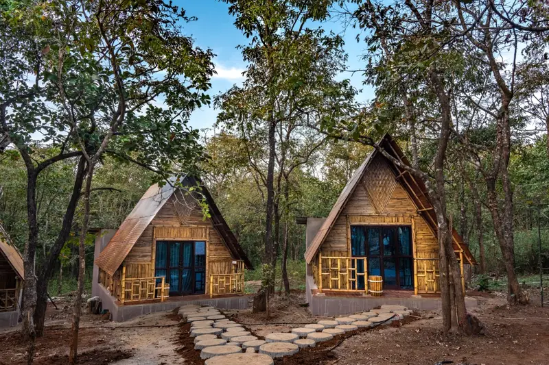 Jungle Cottages photo 5