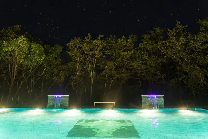 Jungle Cottages photo 8