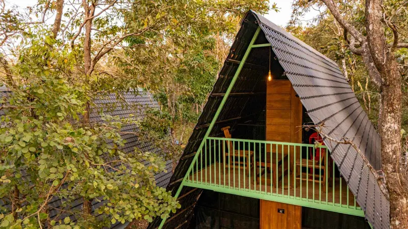 Jungle Cottages photo 3